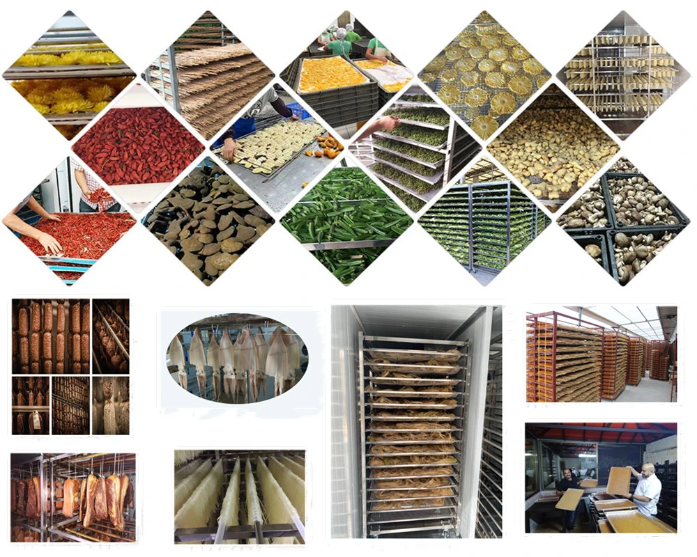 Big Hot Air Food Drying Machine Industrial Mushroom Dryers Banana Commercial Dryer Fish Dehydrator Equipment Potato Dehydrator Machine Food Dehydrator