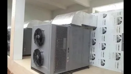 Armário de secagem eletrônico do gengibre da máquina do secador do gengibre do desidratador do alimento