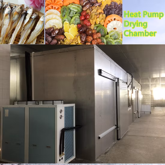 Desidratador comercial de algas marinhas com câmara de secagem de frutos do mar