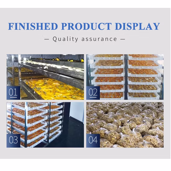 Desidratador comercial de frutas e legumes TCA Máquina de secagem para fábrica de alimentos e fazenda